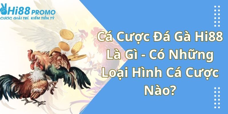 Cá Cược Đá Gà Hi88 Là Gì - Có Những Loại Hình Cá Cược Nào? 4 cá cược đá gà Hi88 là gì