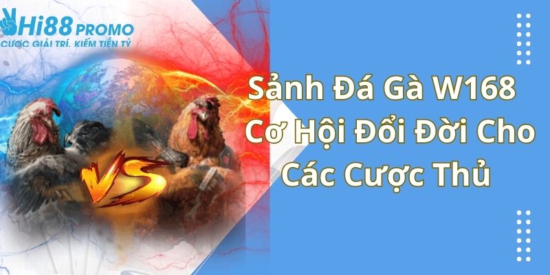 Sảnh Đá Gà W168 - Cơ Hội Đổi Đời Cho Các Cược Thủ 1 đá gà W168