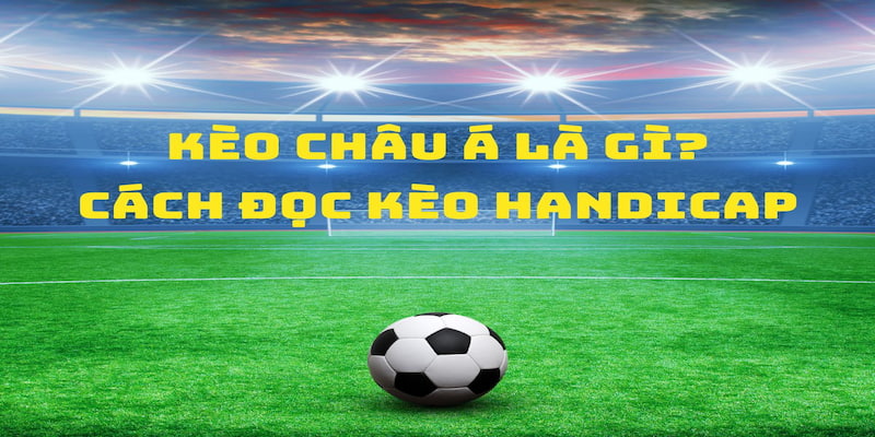 kèo châu Á Bạn có thể dựa vào tỷ lệ thắng kèo để có cơ sở chắc chắn nhất